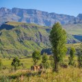 Exploring North West - An Overview of South Africa's Northernmost Province