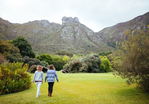 Gardens: Exploring Outdoor Venues in South Africa
